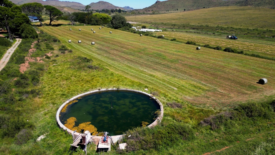 5 Bedroom Property for Sale in Steynsburg Rural Eastern Cape